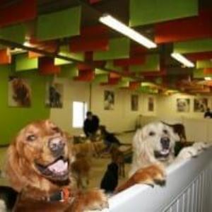 24_4_additional image.jpg image
